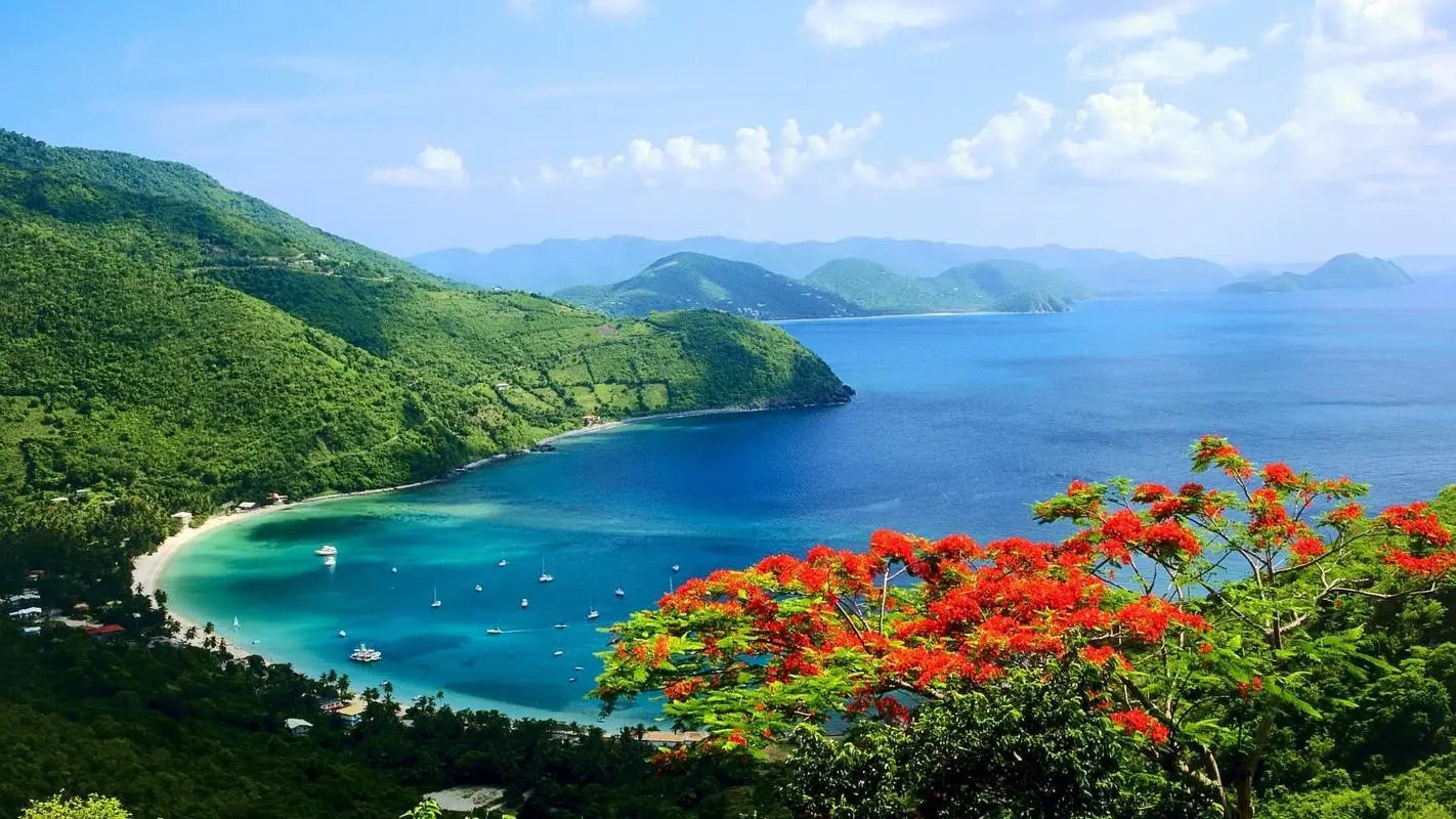 高效绿色高精度